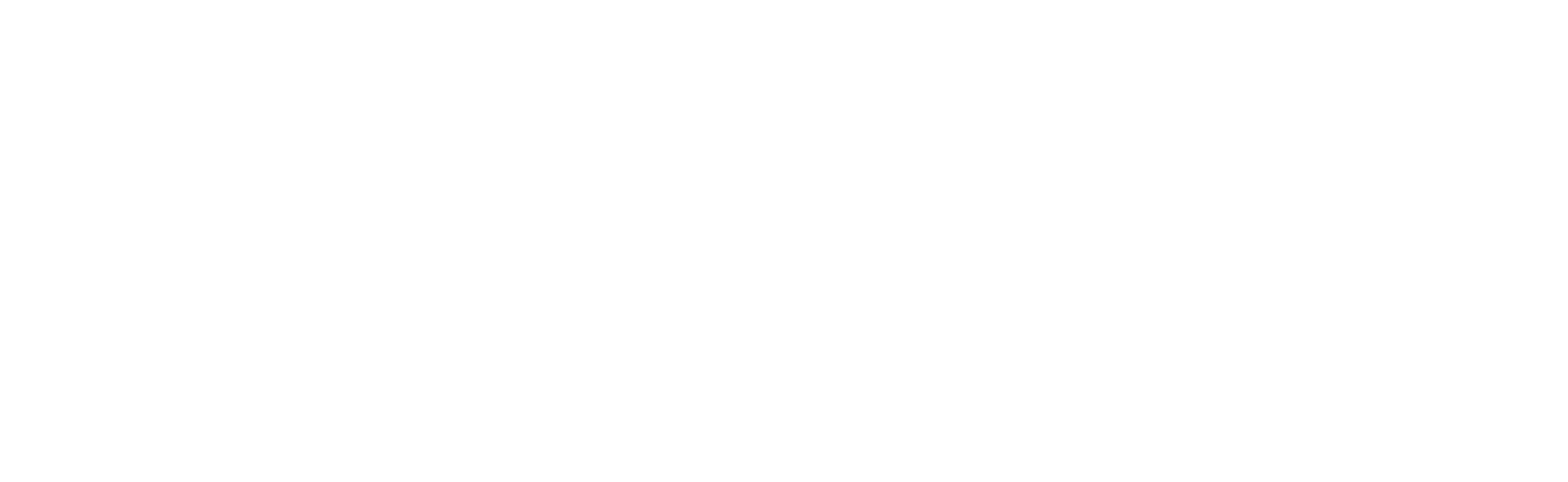 TCPShield logo